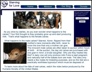 horse rescue