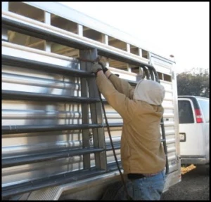 horse rescue