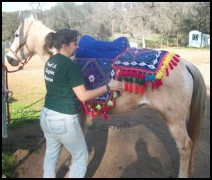 horse shelter