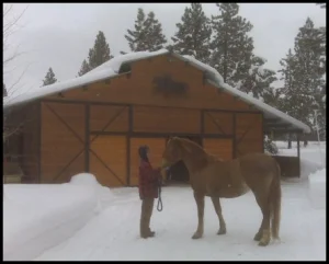 horse shelter