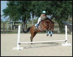 horse shelter