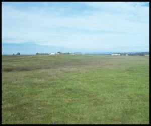 horse shelter