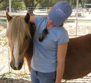 horse rescue