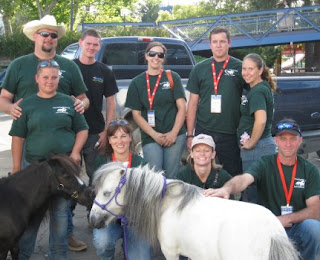 horse rescue