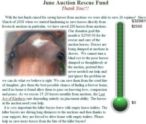 horse rescue