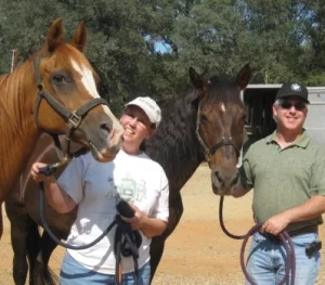 horse rescue