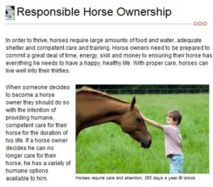 horse rescue