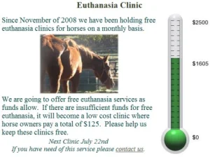 horse rescue