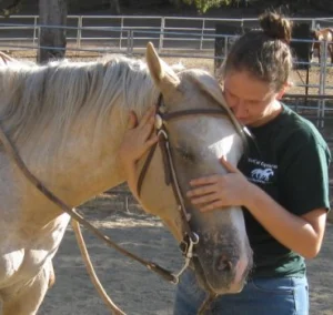 horse rescue