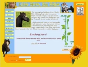 horse rescue