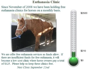 horse rescue