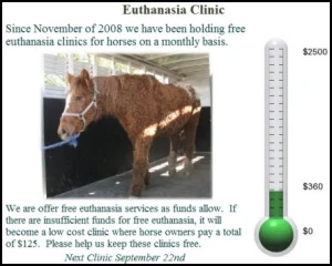 horse rescue