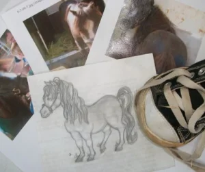 horse rescue