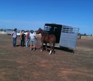 horse shelter