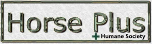 horse shelter