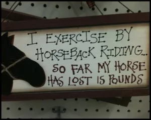horse shelter