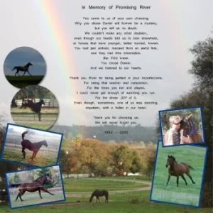 horse shelter