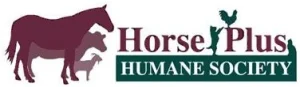 horse shelter