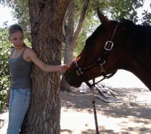 horse shelter
