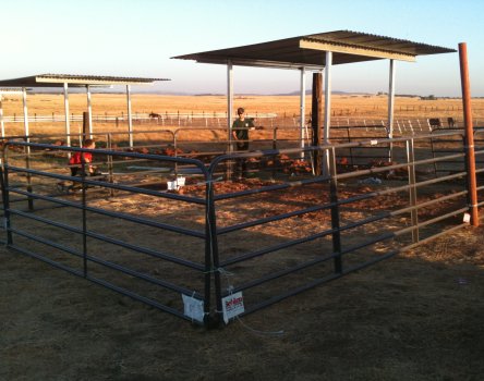horse shelter