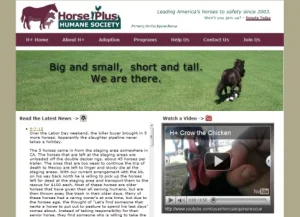 horse shelter