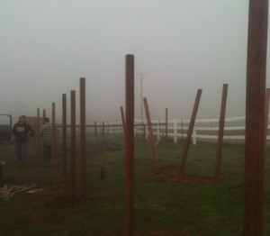 horse shelter