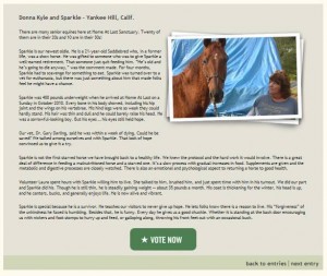 horse shelter