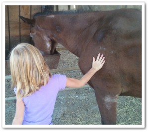 horse shelter