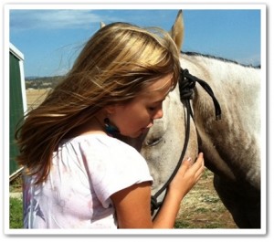 horse shelter