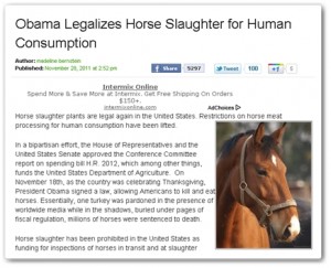 horse shelter