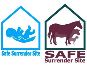 horse rescue