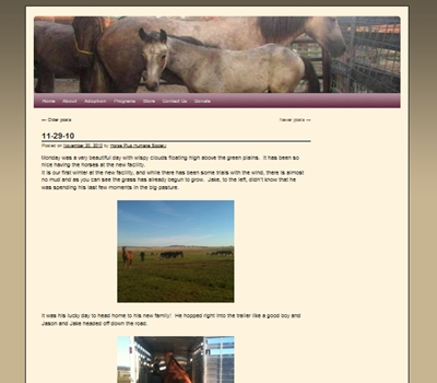 horse rescue