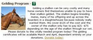 horse shelter