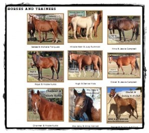 horse shelter
