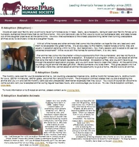 horse shelter