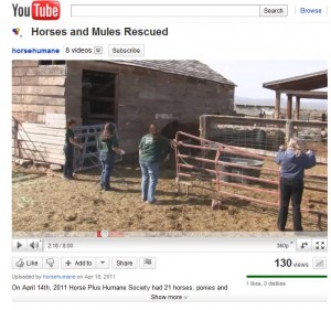 horse shelter