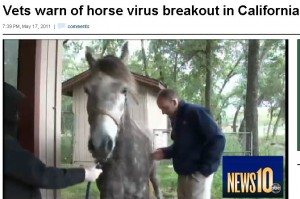 horse shelter