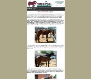 horse shelter