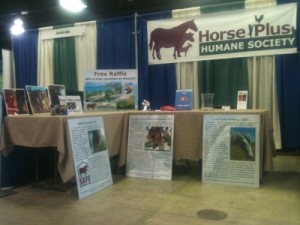 horse shelter