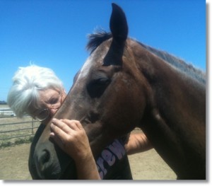 horse shelter