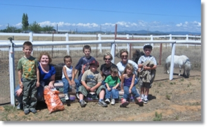 horse shelter