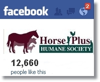 horse shelter