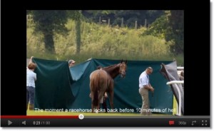 horse shelter