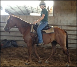 horse shelter