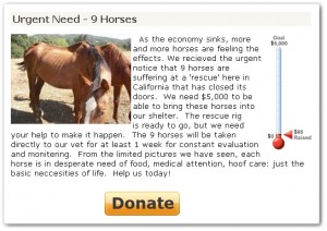 horse shelter