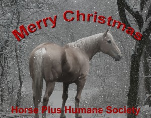 horse shelter