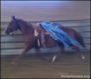 horse shelter