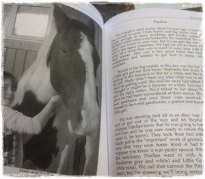 horse sanctuary