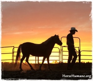horse shelter