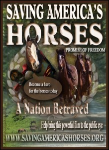 horse rescue